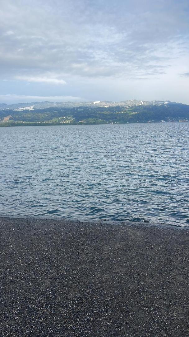 Tolle Inselwohnung Mit Seeblick Apartment *